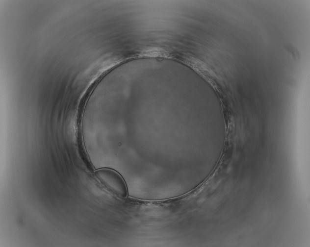 X0000113780290200910071229