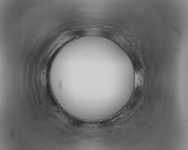 X0000113780291200910071229