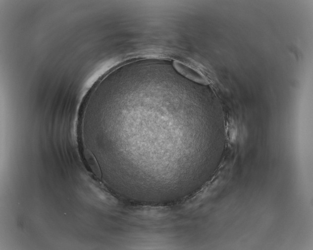 X0000113780292200910071229