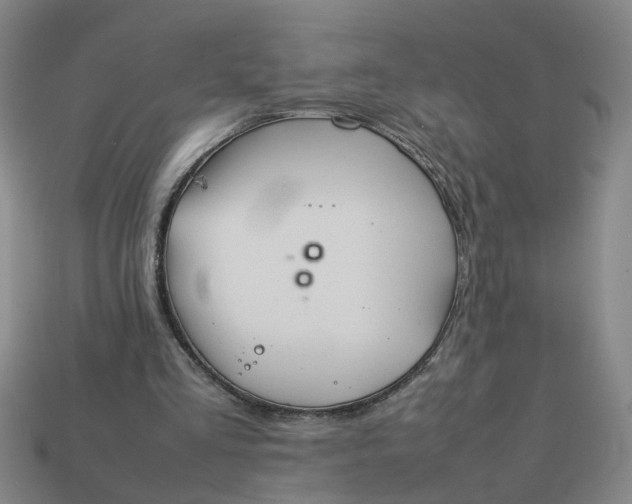 X0000113780293200910071229