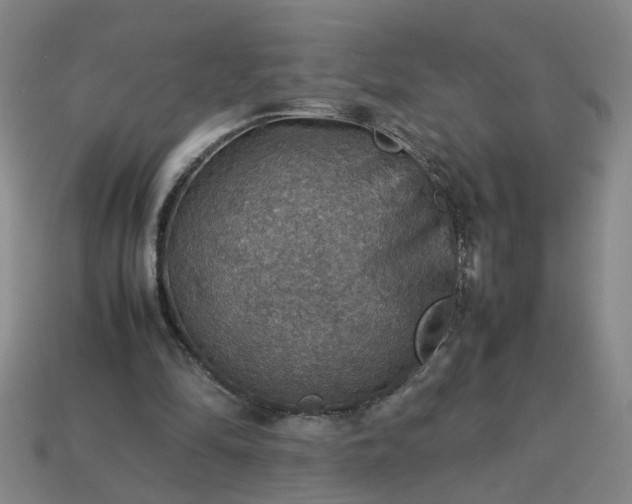 X0000113780294200910071229