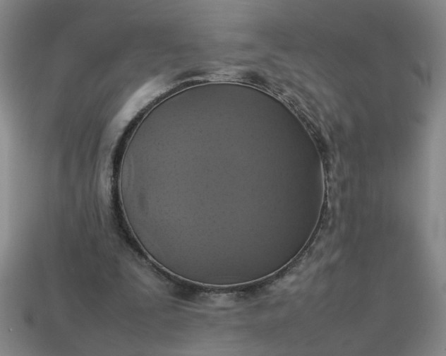 X0000113780295200910071229