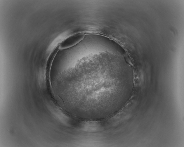 X0000113780296200910071229