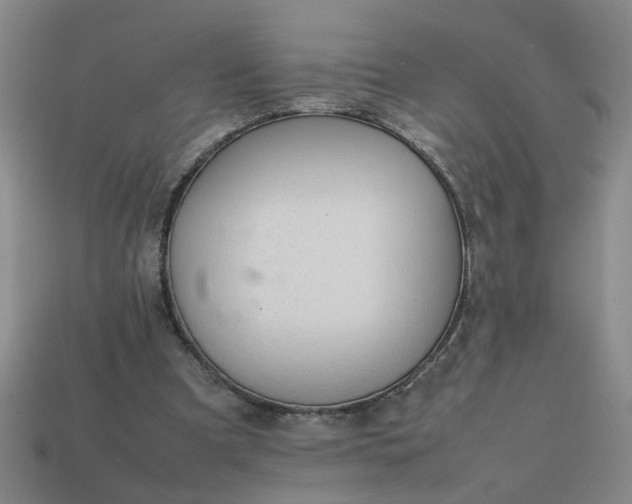 X0000113780297200910071229