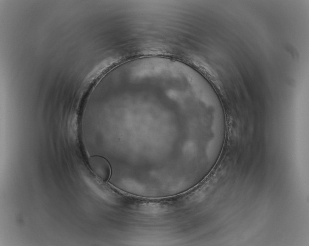 X0000113780298200910071229