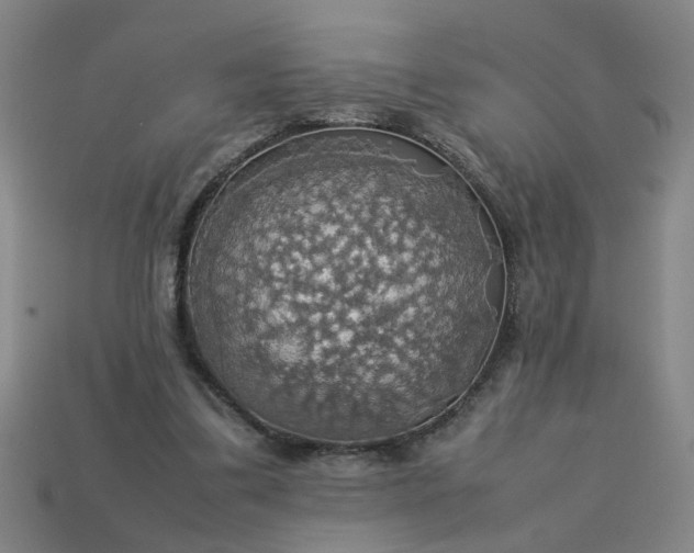 X0000113780299200910071229