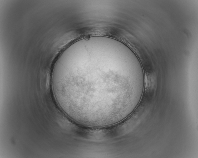 X0000113780301200910071229