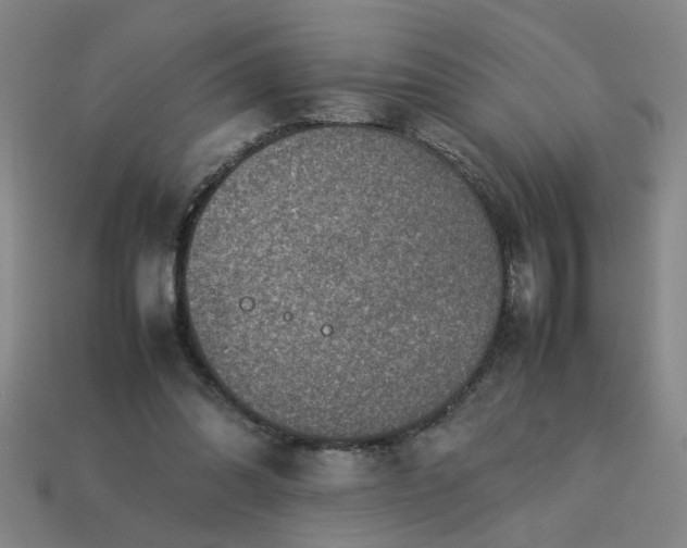 X0000113780302200910071229