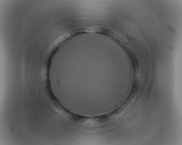 X0000113780303200910071229