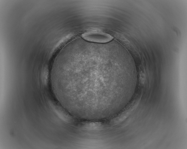 X0000113780304200910071229