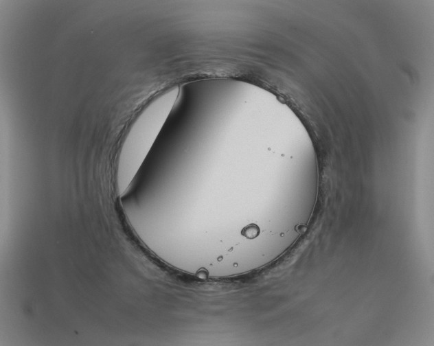 X0000113780305200910071229