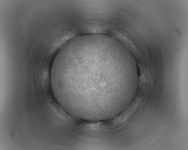 X0000113780306200910071229