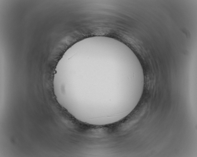 X0000113780307200910071229