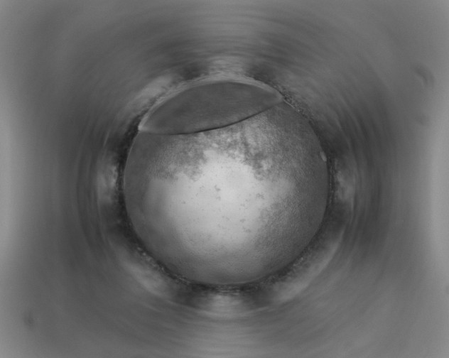 X0000113780308200910071229