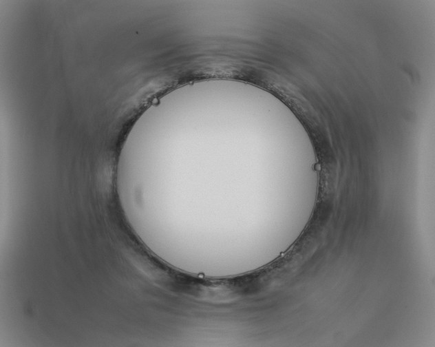 X0000113780309200910071229