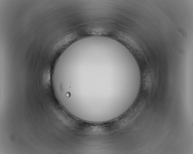 X0000113780310200910071229