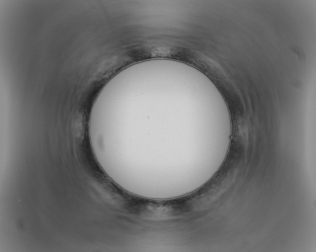 X0000113780311200910071229