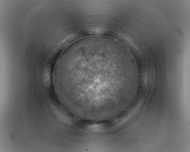 X0000113780312200910071229