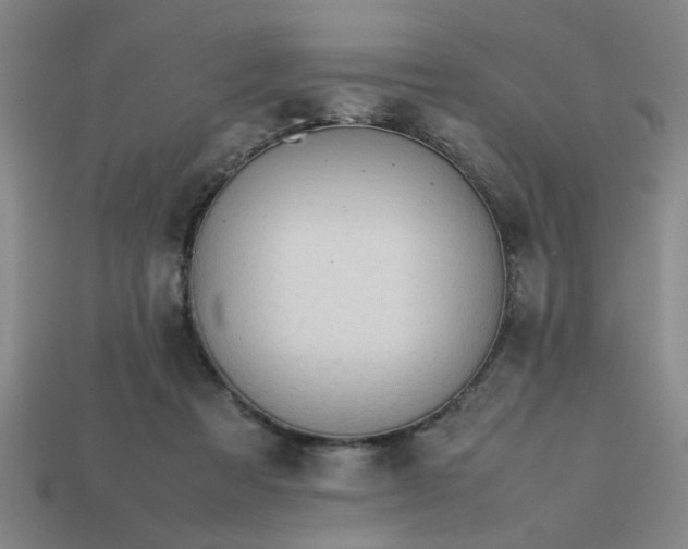 X0000113780313200910071229