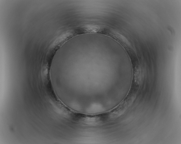 X0000113780314200910071229