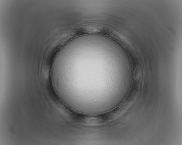 X0000113780315200910071229