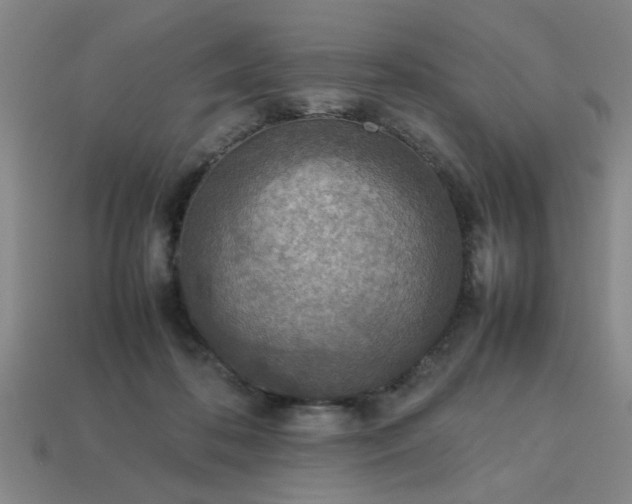 X0000113780316200910071229