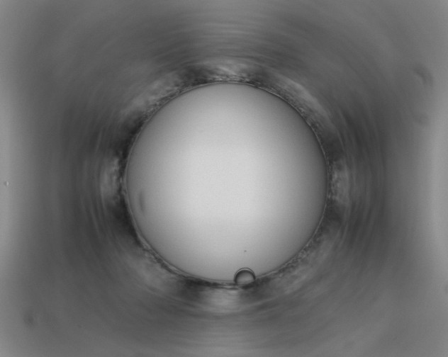 X0000113780318200910071229