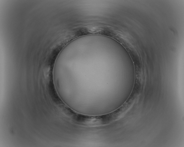 X0000113780319200910071229