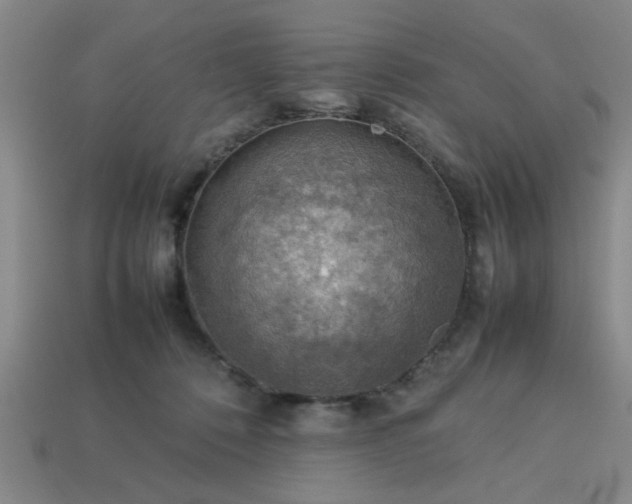 X0000113780320200910071229