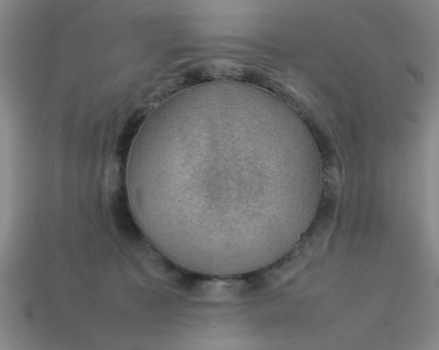 X0000113780323200910071229