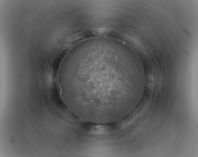 X0000113780324200910071229