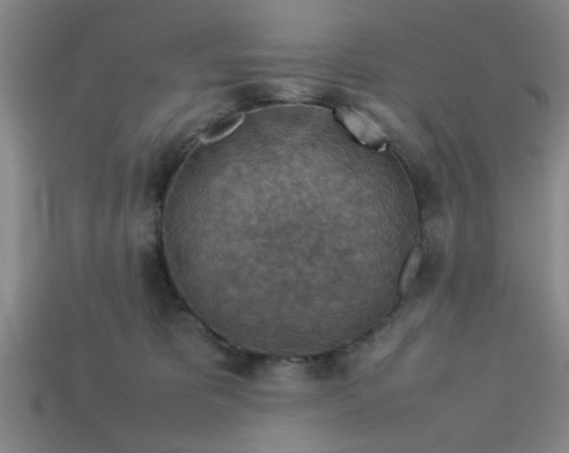 X0000113780325200910071229