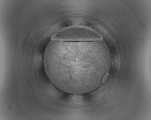 X0000113780327200910071229