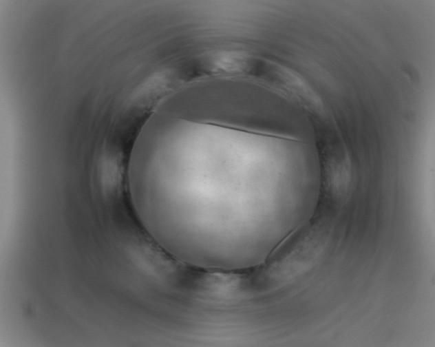 X0000113780328200910071229