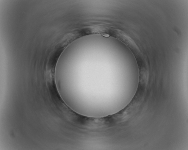 X0000113780329200910071229