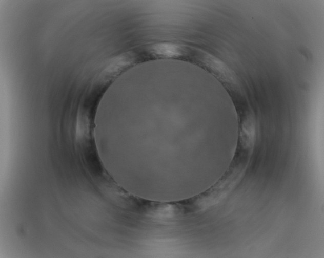 X0000113780330200910071229