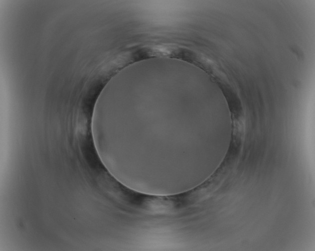 X0000113780331200910071229