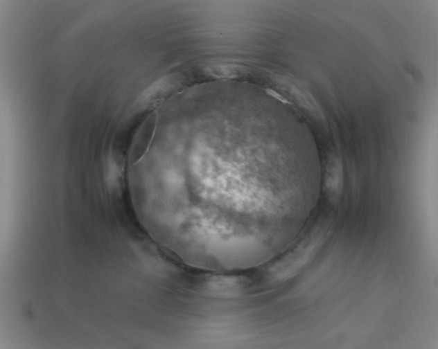 X0000113780332200910071229