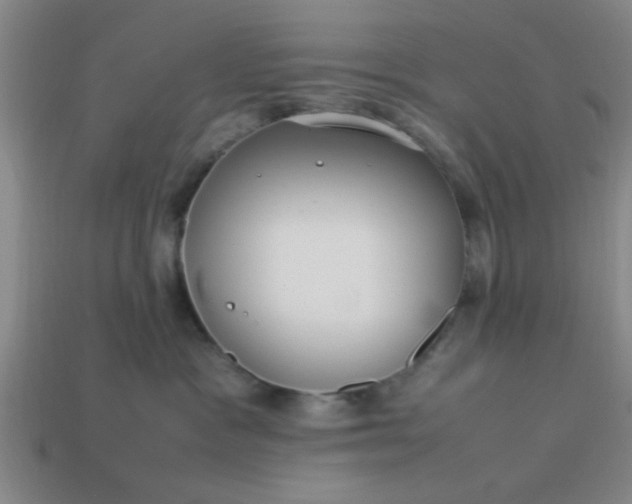 X0000113780333200910071229