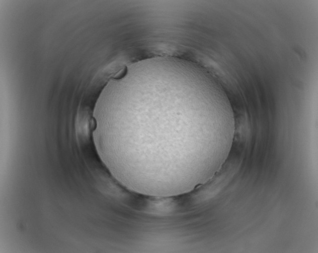 X0000113780334200910071229