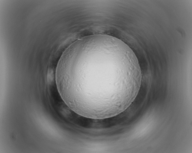 X0000113780335200910071229