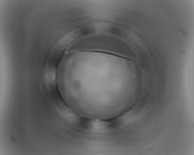 X0000113780336200910071229