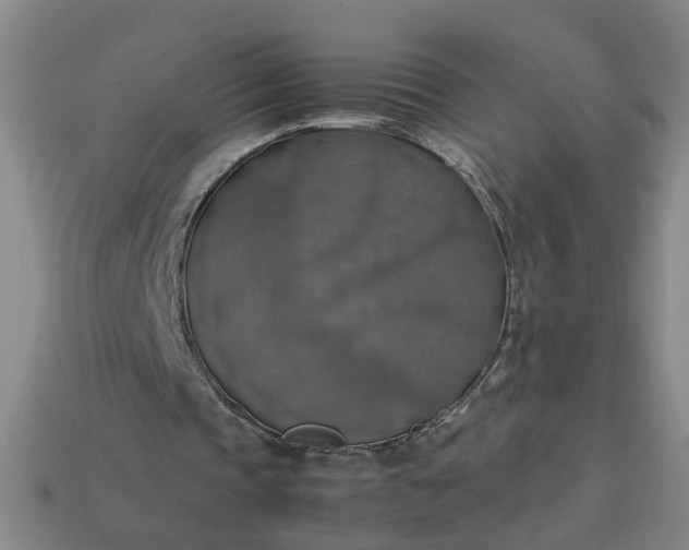 X0000113780337200910071228