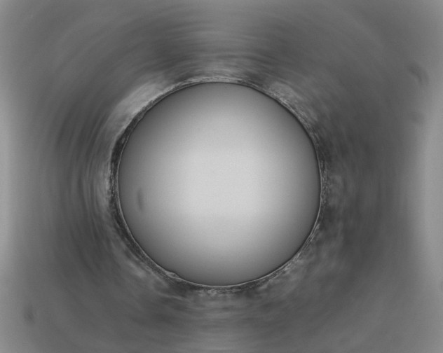 X0000113780338200910071228