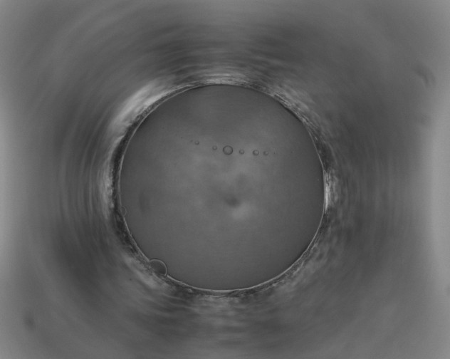 X0000113780339200910071228