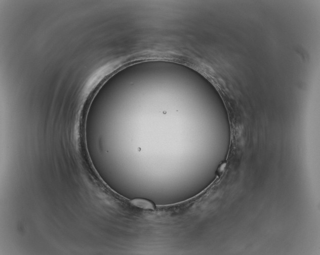 X0000113780340200910071228