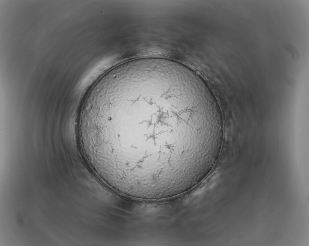 X0000113780341200910071228