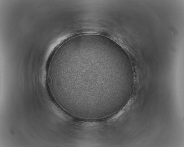 X0000113780342200910071228