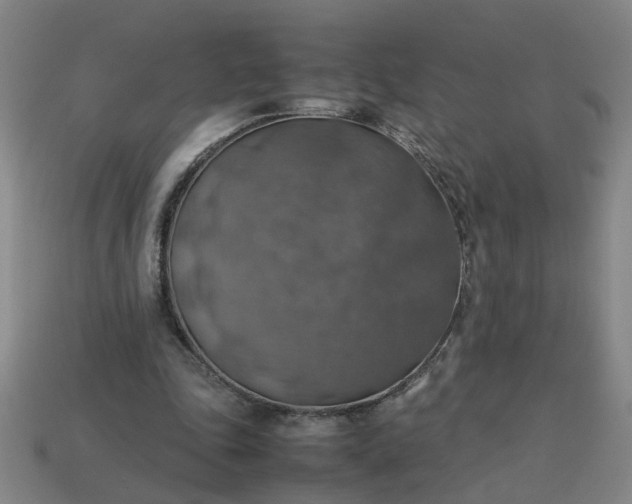 X0000113780343200910071228