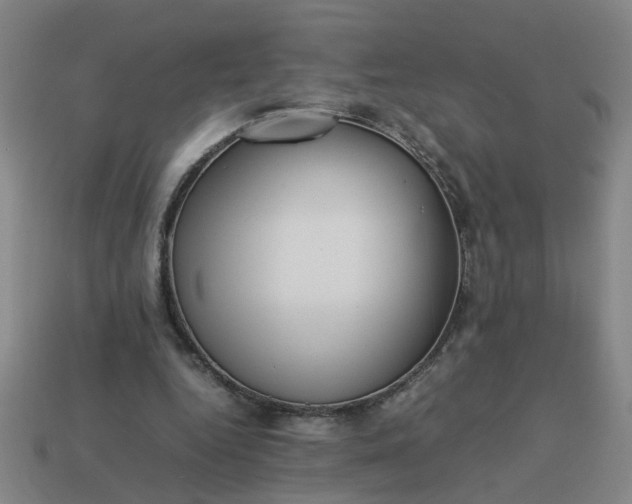 X0000113780344200910071228